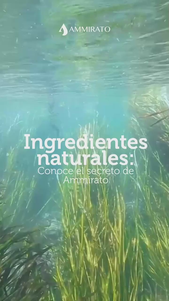 Cargar video: 
